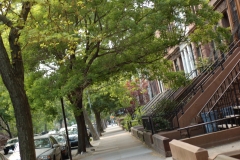 DSC_0218