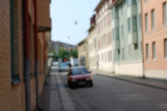 DSC_0091 (1)