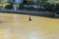 DSC_0350