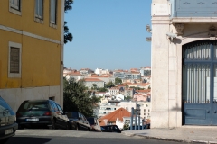 DSC_0390