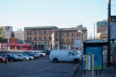 DSC_0017
