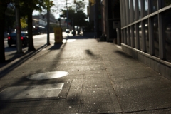 DSC_0036