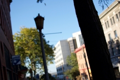 DSC_0099